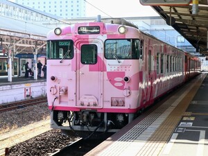 ★[1-3704]鉄道写真:JR キハ40系(さく美さく楽)★Lサイズ