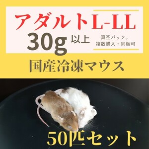 【国産冷凍マウス】アダルトL-LLサイズ50匹セット(30g以上)