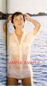 週刊時事1981/9/5 関根恵子セクシー 鈴木清順 陽炎座 水戸黄門 原日出子 木の実ナナ