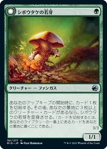 MTG ■緑/日本語版■ 《シボウタケの若芽/Deathbonnet Sprout》イニストラード真夜中の狩り MID