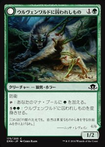 MTG ■緑/日本語版■ 《 ウルヴェンワルドに囚われしもの/Ulvenwald Captive》★FOIL★ 異界月 EMN