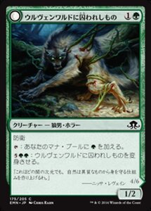 MTG ■緑/日本語版■ 《 ウルヴェンワルドに囚われしもの/Ulvenwald Captive》異界月 EMN