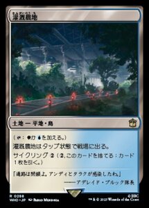 MTG ■土地/日本語版■ 《灌漑農地/Irrigated Farmland》★サージFOIL★ ドクター・フー WHO