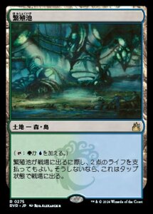 MTG ■土地/日本語版■ 《繁殖池/Breeding Pool》★FOIL★ ラヴニカ リマスター RVR