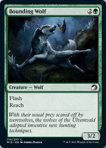 MTG ■緑/英語版■ 《跳ねる狼/Bounding Wolf》イニストラード真夜中の狩り MID