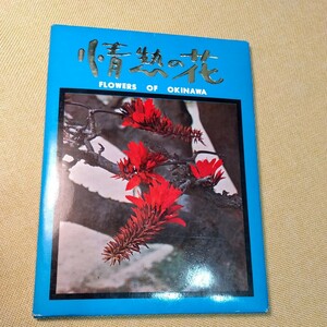 沖縄県ポストカード　情熱の花　ヒルギ林、首里城、天川踊、那覇国際通り、中城、琉球大学、政治センター　全14枚　絵葉書