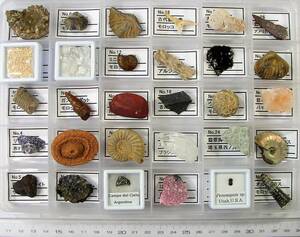 隕石・鉱物・化石標本30種　標本ラベル・説明書付