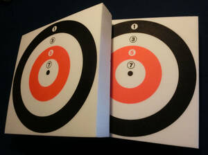 スポーツ吹き矢　ソフト的　2枚セット　裏表に的印刷　計4面使用可能　未使用