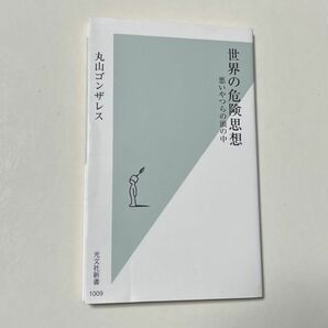 世界の危険思想　悪いやつらの頭の中 （光文社新書　１００９） 丸山ゴンザレス／著