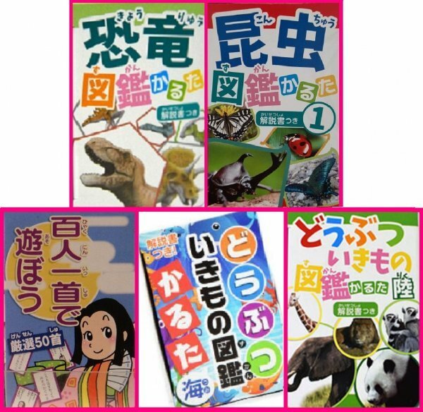 【送料無料:選べる:かるた/カルタ:1点・1個】★恐竜・昆虫・百人一首 ・海の生き物★解説書付:解説あり:知育玩具:脳を活性化