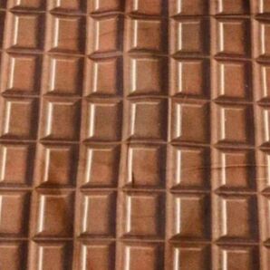 チョコレート柄 コットン100 綿生地 CF114