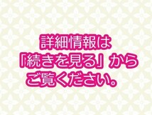 2-122-60　ポピー 超合金 勇者ライディーン　約15cm　フィギュア　期不明　東北新社　昭和　レトロ　箱無し　ヴィンテージ　おもちゃ　_画像2