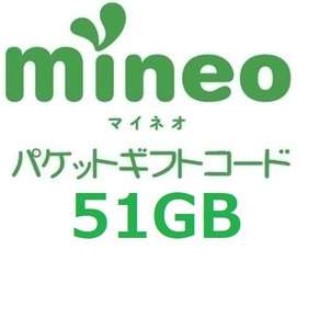 パケットギフト 　9,000MB×5 + 6,000MB (約51GB) mineo マイネオ 即決 匿名 容量相談対応