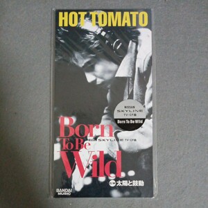 美品　Hot Tomato Born To Be Wild CD APDA-194