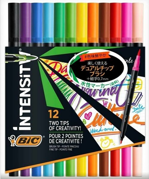 ★12色セット★マーカーペン 水性ペン 筆ペン 塗り絵 POP書き 速乾性