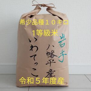 お米　１０キロ　白米　いわてっこ