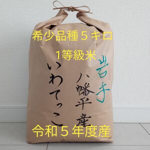 お米　５キロ　白米　いわてっこ