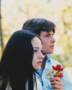 ロミオとジュリエット　オリビアハッセー　Romeo and Juliet　映画　写真　輸入品　約20.3x25.4cm　40351.