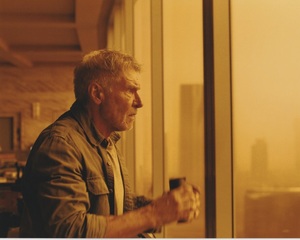 ブレードランナー2049　ハリソンフォード　約20.3x25.4cm　輸入　写真　10351r.