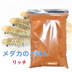 リッチA・100ｇ【猫飯】最安値！食いつき抜群！！　 科学飼料研究所 メダカ 金魚 カメ 熱帯魚 川魚