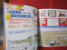 ☆親子で楽しむ　　　沖縄の潮干狩と磯遊び　　　　　【沖縄・琉球・自然・アウトドア・海洋レジャー】_画像8