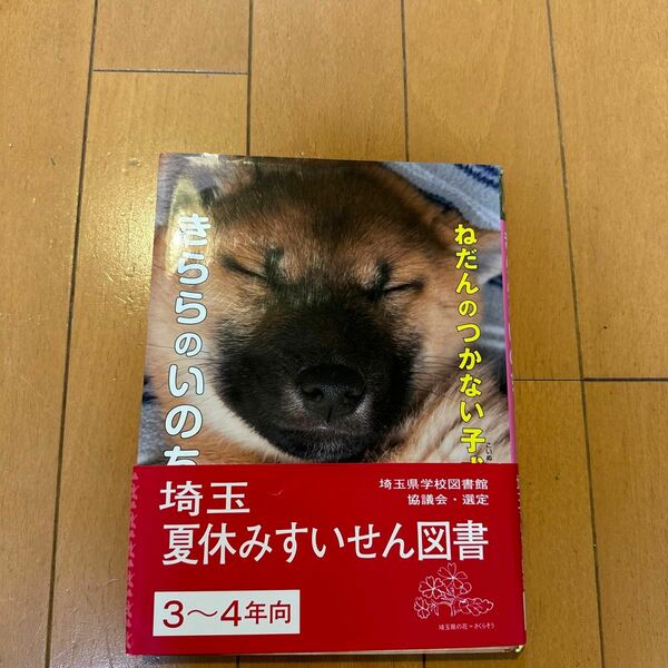 ねだんのつかない子犬きららのいのち 今西乃子／著　浜田一男／写真