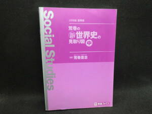 名人の授業　荒巻の新世界史の見取り図 中　荒巻豊志 著　東進ブックス　E3.240226　