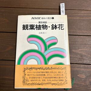 さ01-187 NHK趣味の園芸 園芸相談観葉植物　鉢花　江尻　光一