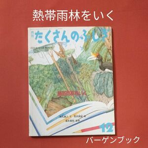 バーゲンブック　たくさんのふしぎ　熱帯雨林をいく　ボルネオ島　 福音館書店