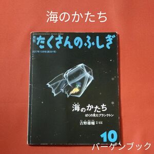 バーゲンブック　月刊 たくさんのふしぎ 　海のかたち　 福音館書店