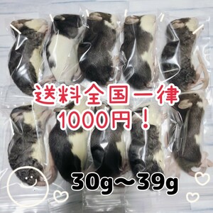 爬虫類のエサ　冷凍ラット　ホッパー　30〜39g 10匹