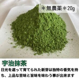 【無農薬】宇治抹茶20g(約20杯分) 化学肥料・除草剤・畜産堆肥不使用 2023年産