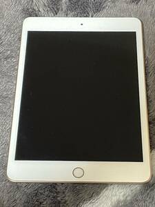 iPad mini5 64GB ジャンク品　故障品