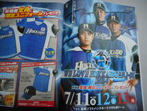 日本ハムファイターズ　クリアファイル ＆ ファイターズマガジン　２０１４年の大谷翔平選手_画像3