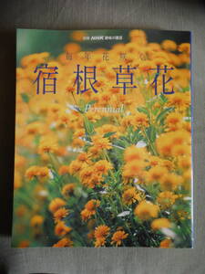  separate volume NHK hobby. gardening every year flower ... root . flower used book