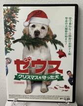 i2-2-2　ゼウス クリスマスを守った犬（洋画）TSDR-70260 レンタルアップ 中古 DVD _画像1