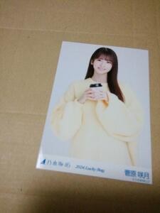 菅原咲月 チュウ 冬コーデ out side japan 乃木坂46 生写真 Lucky bag 2024 福袋グッズ