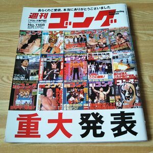 週刊ゴング 1168 雑誌 週刊誌 本 プロレス 新日本プロレス 全日本プロレス LADY´s別冊ゴング 女子プロレス大特集 風香