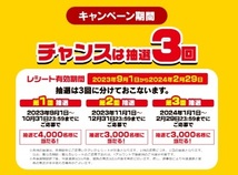 ブラックサンダー　クオカード1000円分10000名　総額1000万円イナズマ級！キャンペーン　レシート応募_画像3