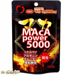 ユウキ製薬 マカ パワー 総量100,000mg 20-30日分 120粒 サプリ 亜鉛 シトルリン アルギニン オルニチン 粒