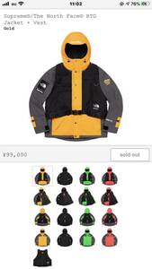 The North Face RTGJacket ＋ Vest （Gold） 20ss