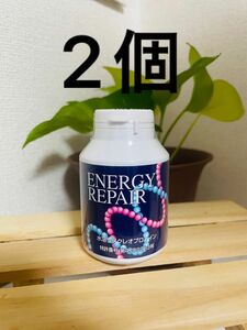 ファイナルフューチャー　エナジーリペア　核酸　2個　energy rapair