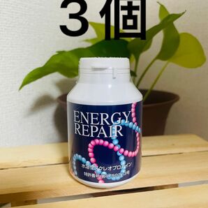 ファイナルフューチャー　エナジーリペア　核酸　3個　energy rapair