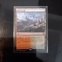 MTG 日本語 四枚セット 樹木茂る山麓_画像4