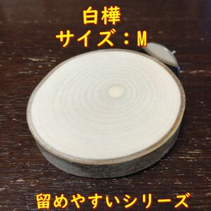留めやすい丸太切り株の止まり木（白樺）（TOY-08-022)　TМ