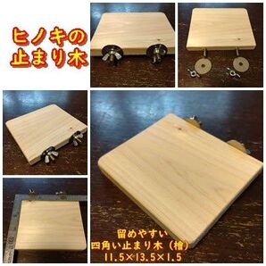 留めやすい四角い止まり木(檜:13.5cm横)(TOY-08-018)