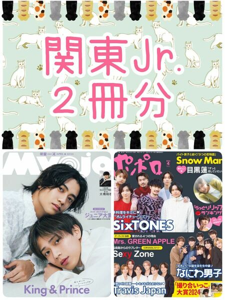 Myojo ポポロ 4月号 ジャニーズJr. 関東 切り抜き