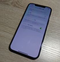 iPhone 12 Pro Max パシフィックブルー 256 GB SIMロック解除済み 送料無料_画像9