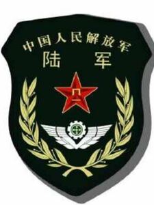 国内発送 新品未使用 中国人民解放軍現役最新型15式ワッペン 実物官給品 送料無料