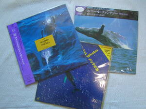 5483【送料込み】《クジラをテーマにしたレーザーディスク3枚》「巨鯨 Master of The Sea」・「クジラの海」・「神鯨伝説」等